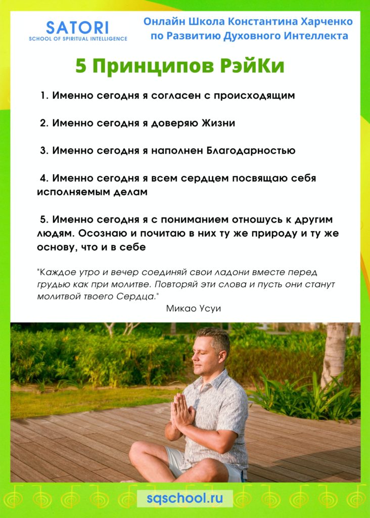 5 принципов Рэйки